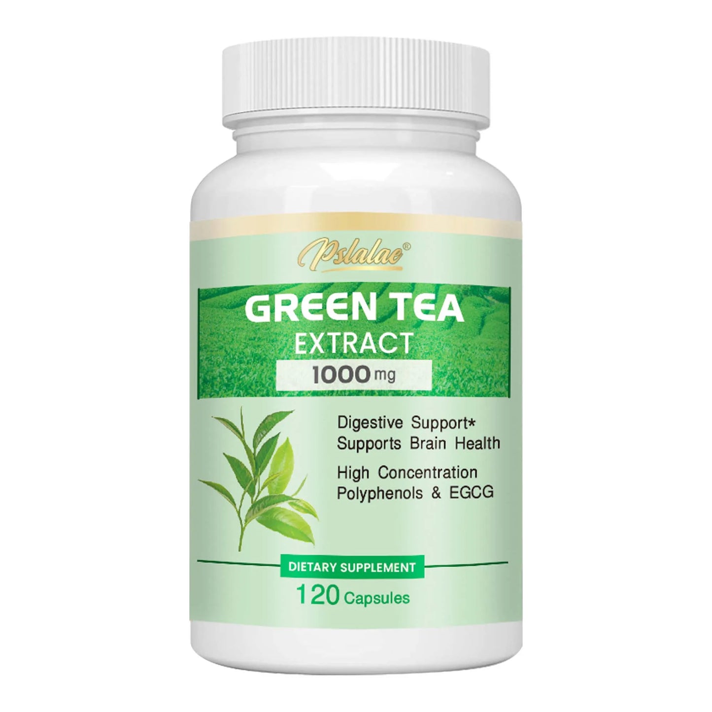 Green Tea Extract - Burning & Inhibiting Fat Control Appetite, Gut Health, Weight Management - 120 Capsules