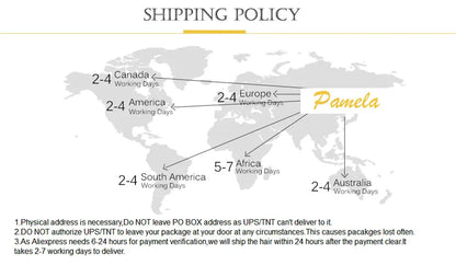 Grey Blonde 13x4 Full Lace Front Wig 4x4 Ash Blonde Bone Straight HD Transparent Lace Closure Frontal Human Hair Wig For Women