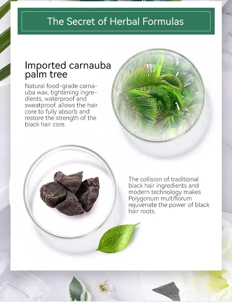 Hair Dying Stick Long Lasting Fast Staining Washable High Saturation Cover White Hair Non-toxic Not Greasy Disposable Hair Dye