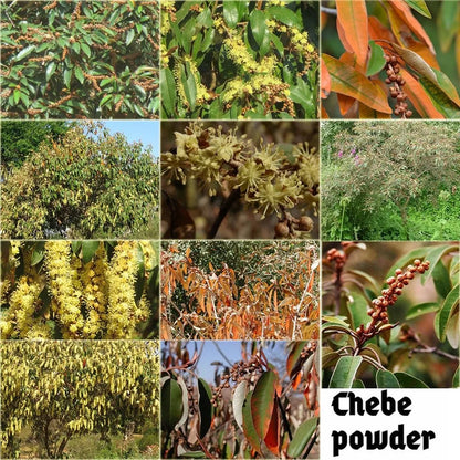 African Traditional Layden Oil for Scalp & Hair Roots Strengthening 1.7 Fl Oz