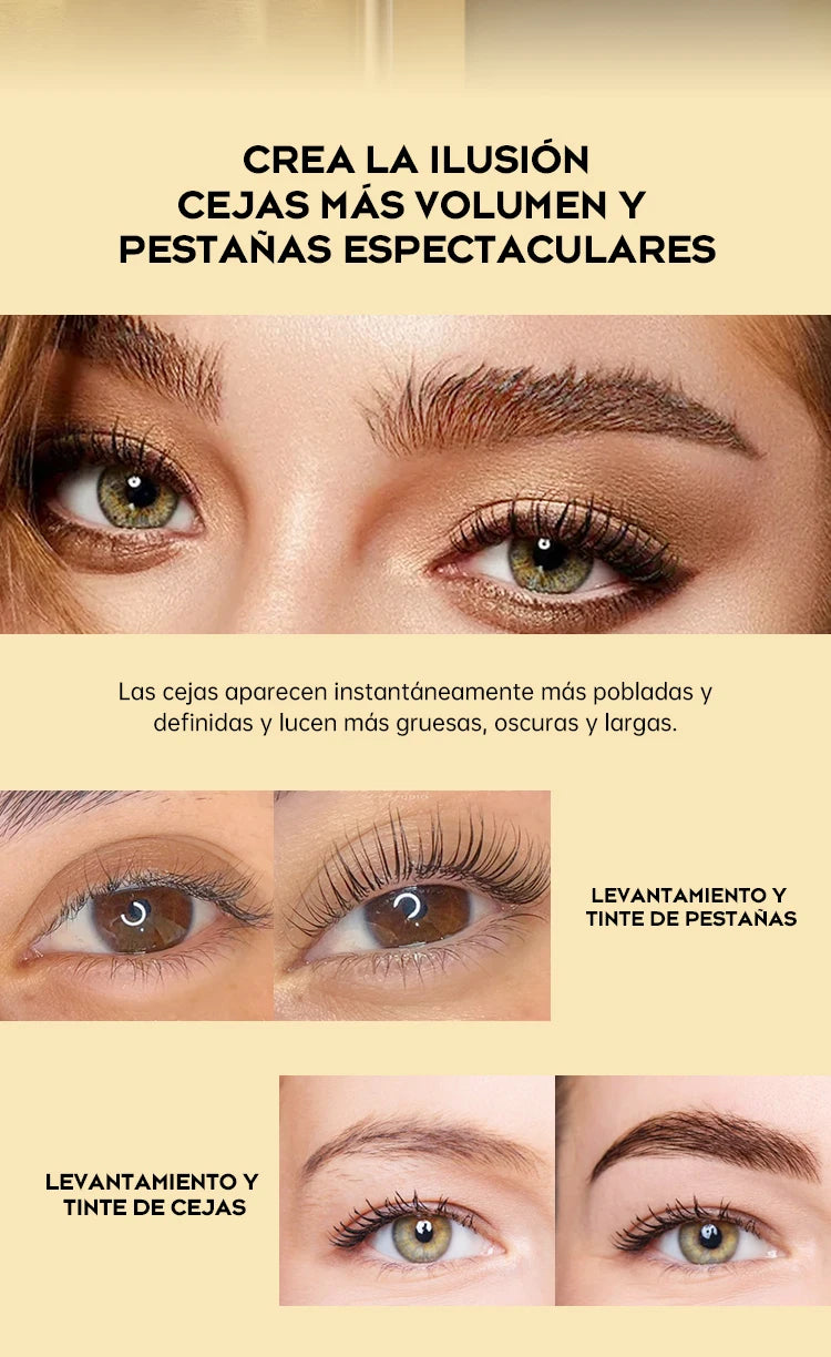 Gollee Lash and Brow Tinting Kit Classic Black Natural Eyelash Lifting Perm Treatment Makeup Set 4-6 Weeks For Lash Curler Perm