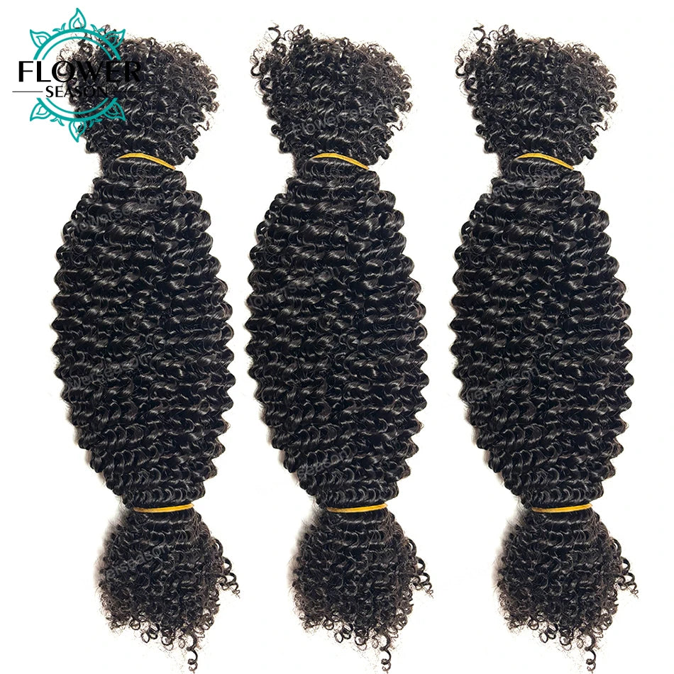 Bulk Human Hair For Twist Afro Kinky Curly Bulk Human Hair For Braiding Crochet Twist hair Extensions 100g/Bundles Natural Color