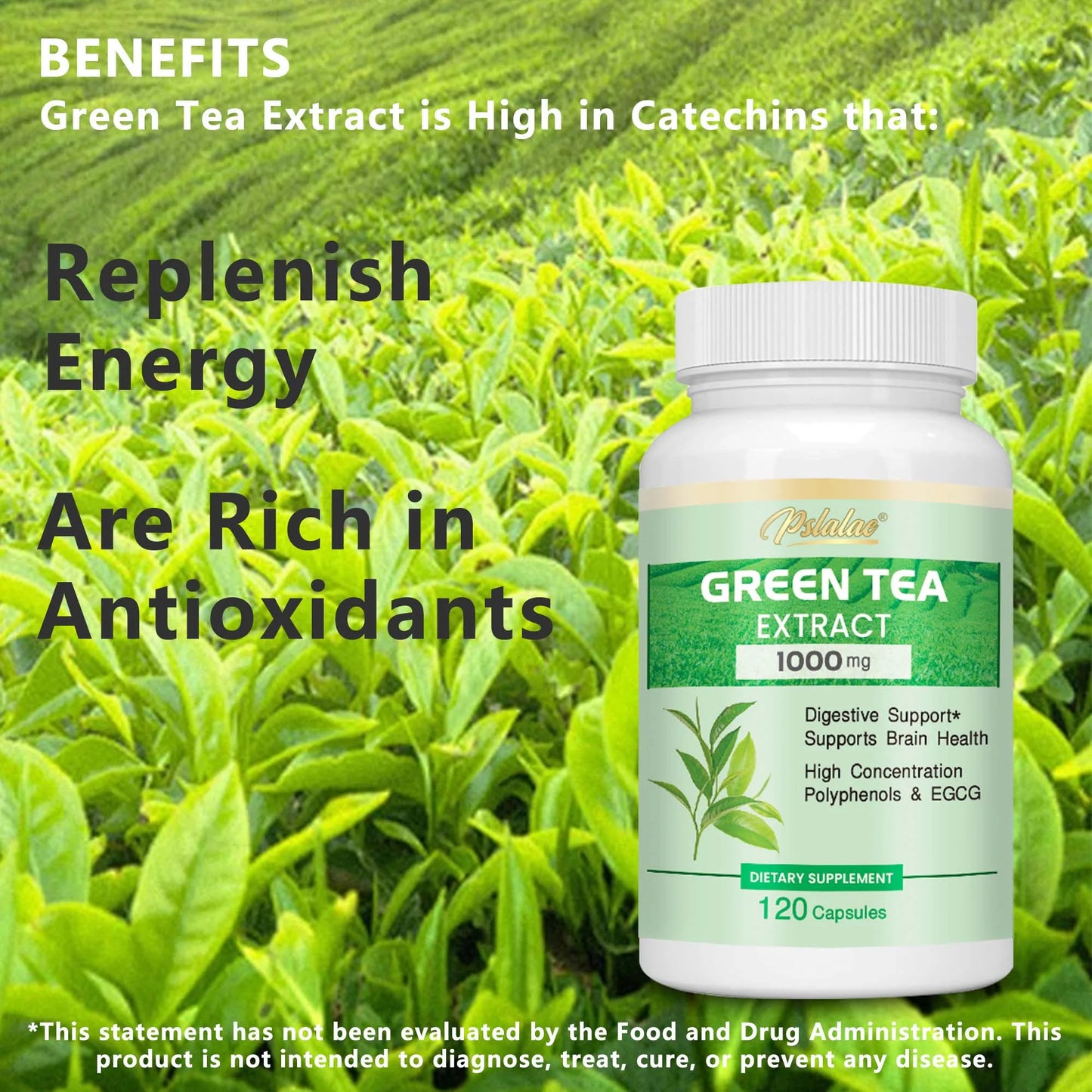 Green Tea Extract - Burning & Inhibiting Fat Control Appetite, Gut Health, Weight Management - 120 Capsules