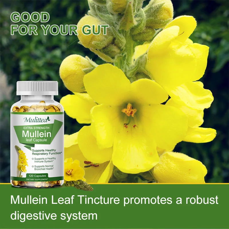 Mulittea Natural Mullein Leaf Capsules Herbal Supplement for Lung Cleanse Helps Healthy Respiratory Function & Mucous Membranes
