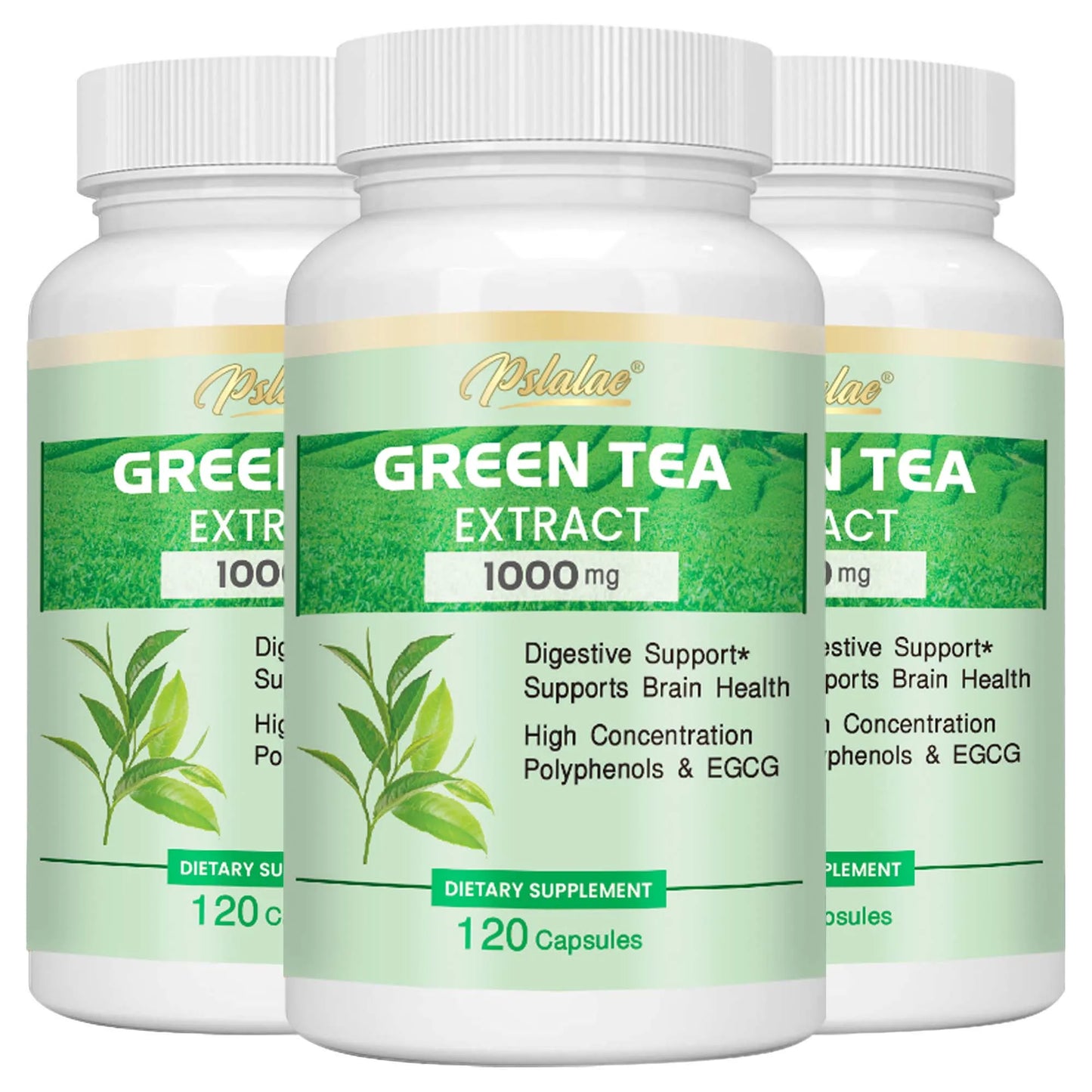 Green Tea Extract - Burning & Inhibiting Fat Control Appetite, Gut Health, Weight Management - 120 Capsules