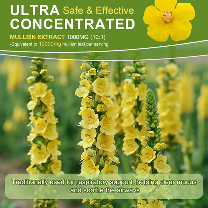 Mullein Drops Suitable For Lung, Lung Detoxification And Cleansing, Vegetarian Mullein Leaf Extract For Respiration, Immunity