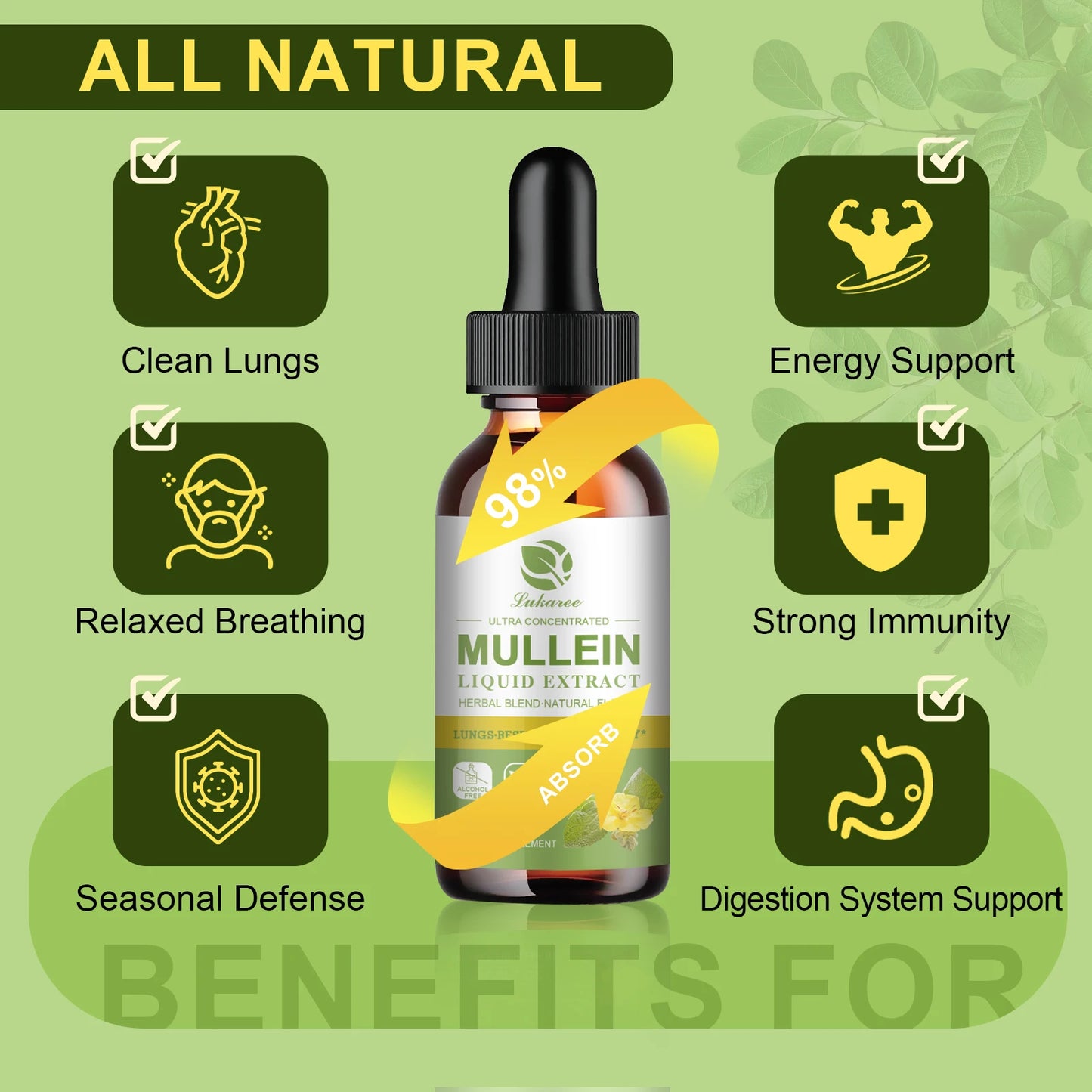 Mullein Drops Suitable For Lung, Lung Detoxification And Cleansing, Vegetarian Mullein Leaf Extract For Respiration, Immunity
