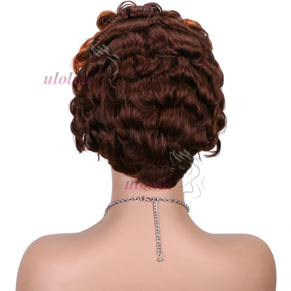 613 Blonde Pixie Cut Short Bob Loose Wave Human Hair Wigs Chocolate Brown Short Bob 13x4 Transparent Lace Front Wigs Preplucked