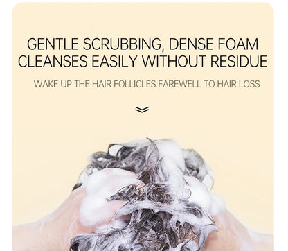 PURC Biotin Hair Growth Shampoo Anti Hair Loss Repair Damaged Frizz Argan Oil Scalp Treatment Hair Care Products