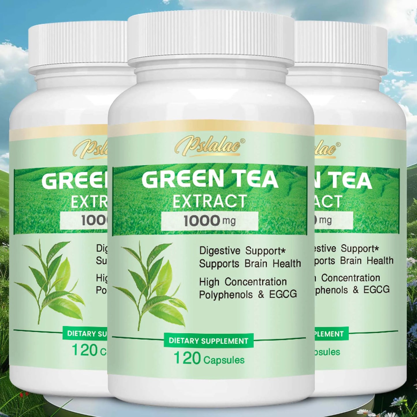 Green Tea Extract - Burning & Inhibiting Fat Control Appetite, Gut Health, Weight Management - 120 Capsules